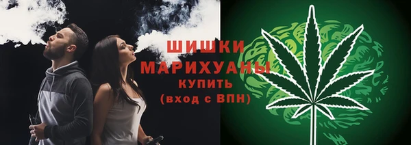 apvp Пестово