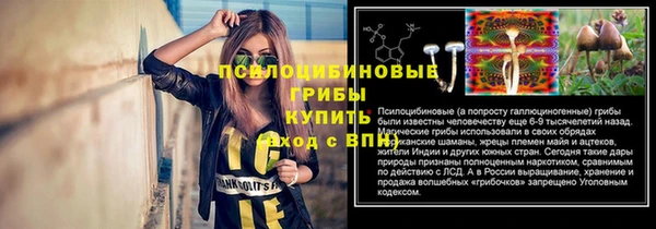 ГАЛЛЮЦИНОГЕННЫЕ ГРИБЫ Медногорск
