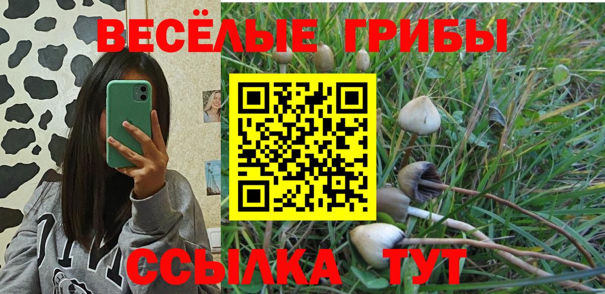 Галлюциногенные грибы GOLDEN TEACHER  где можно купить   Новотроицк  Вход с VPN 
