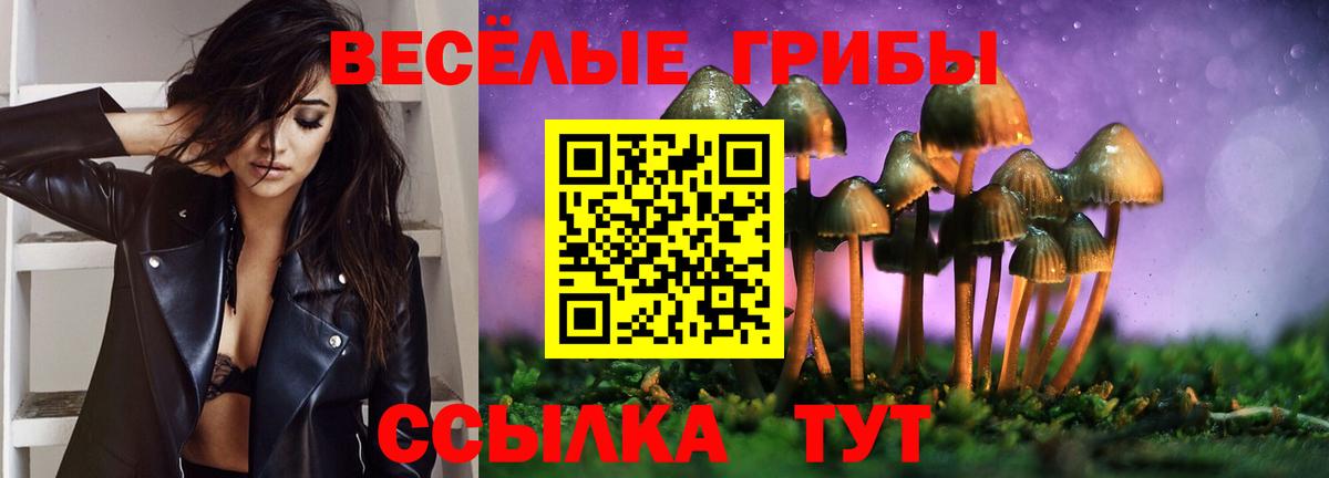 Мефедрон Новотроицк